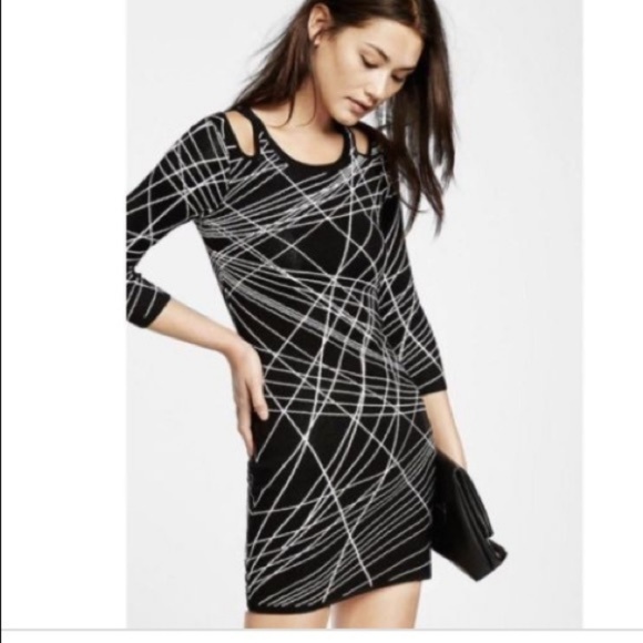 express mini sweater dress